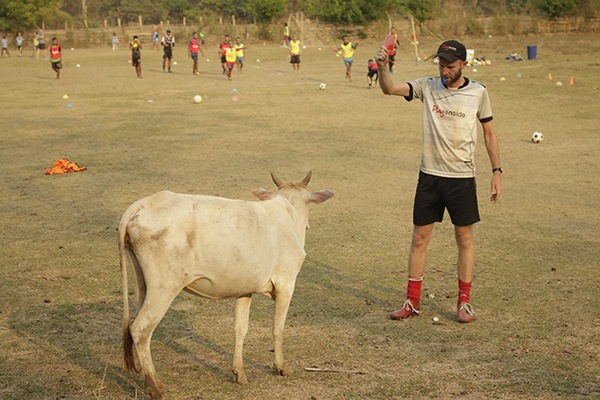 Not all players understand fair play. This one was sent off for constant mooing